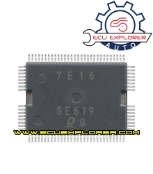 SE619 chip