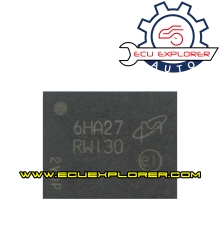 RW130 BGA chip